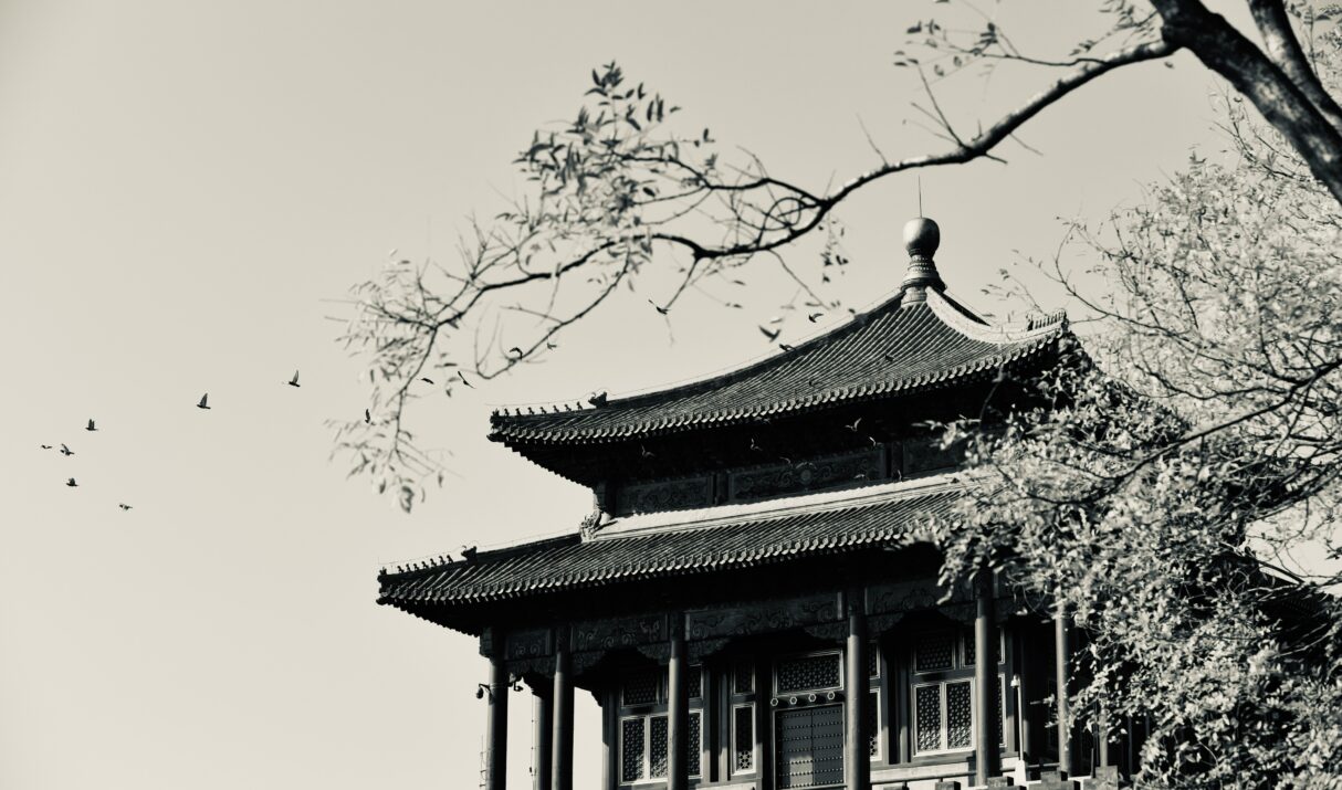 Perspective and Moral Ambiguity in “The Ancestor”