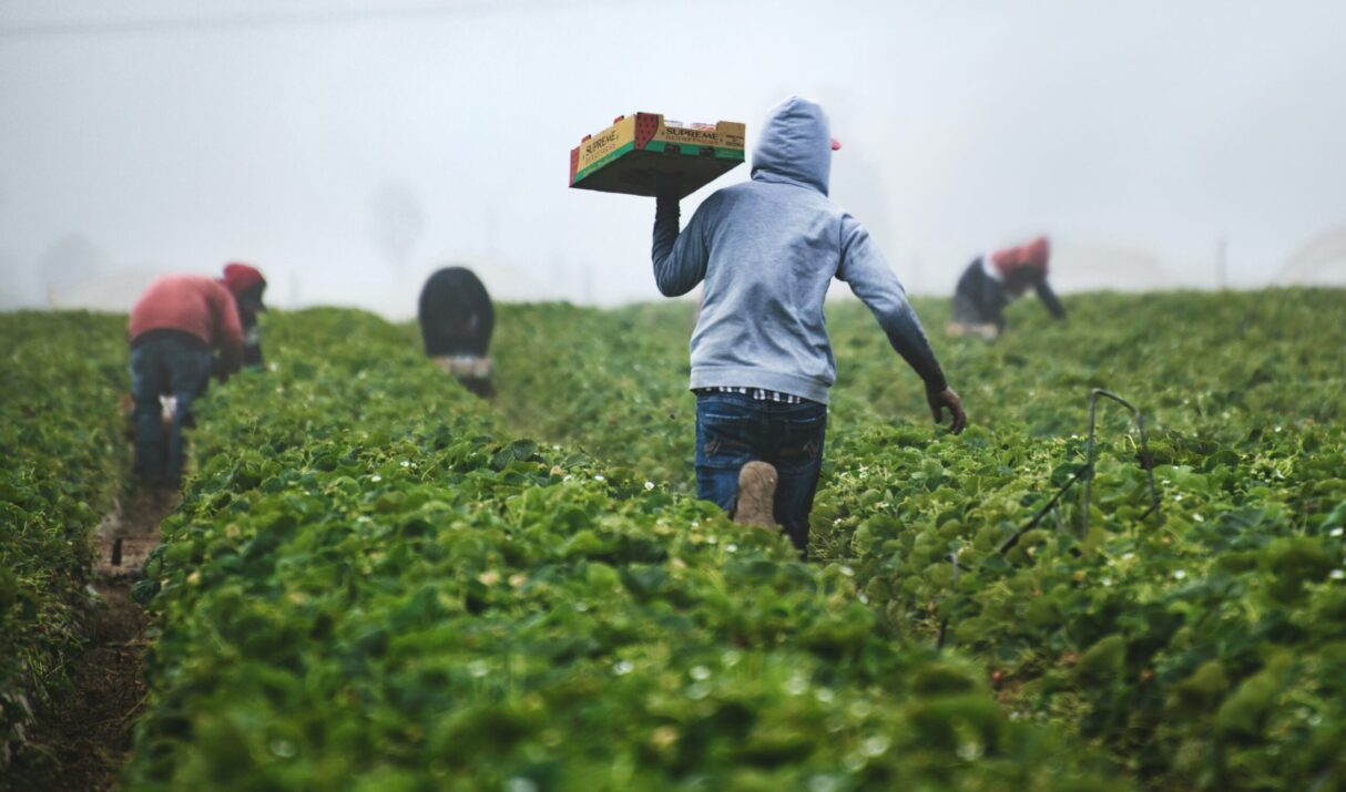 The Harmful Stereotypes and Abusive Policies on Immigration